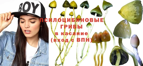 прущие крисы Верхний Тагил