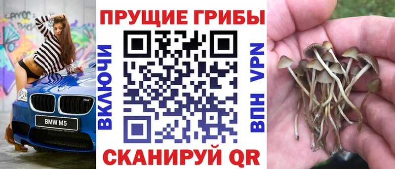 дарнет шоп Изобильный Галлюциногенные грибы Magic Shrooms